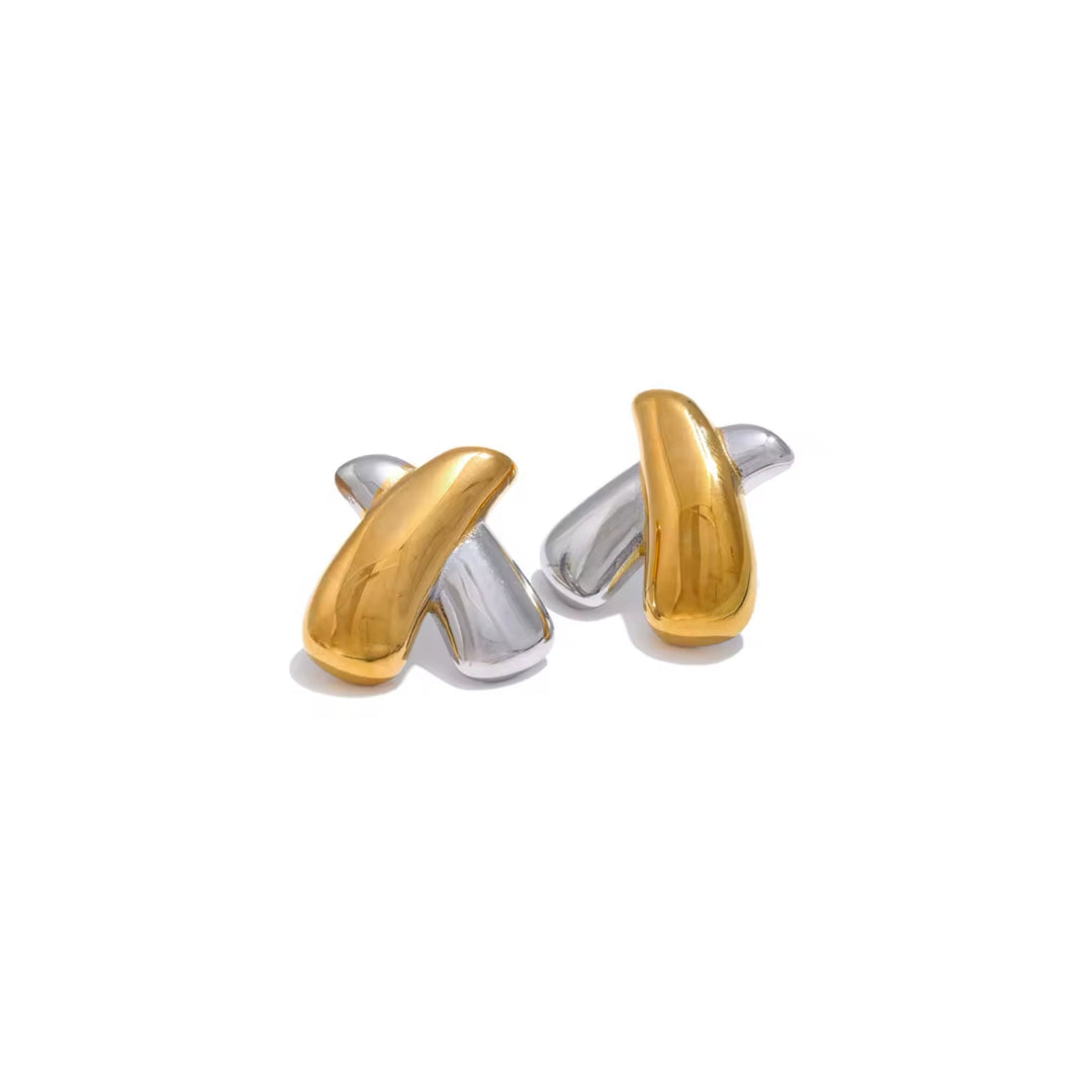 Elexander Two Toned Earrings