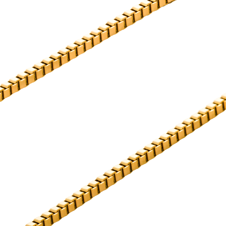 Dallen Box Chain Necklace