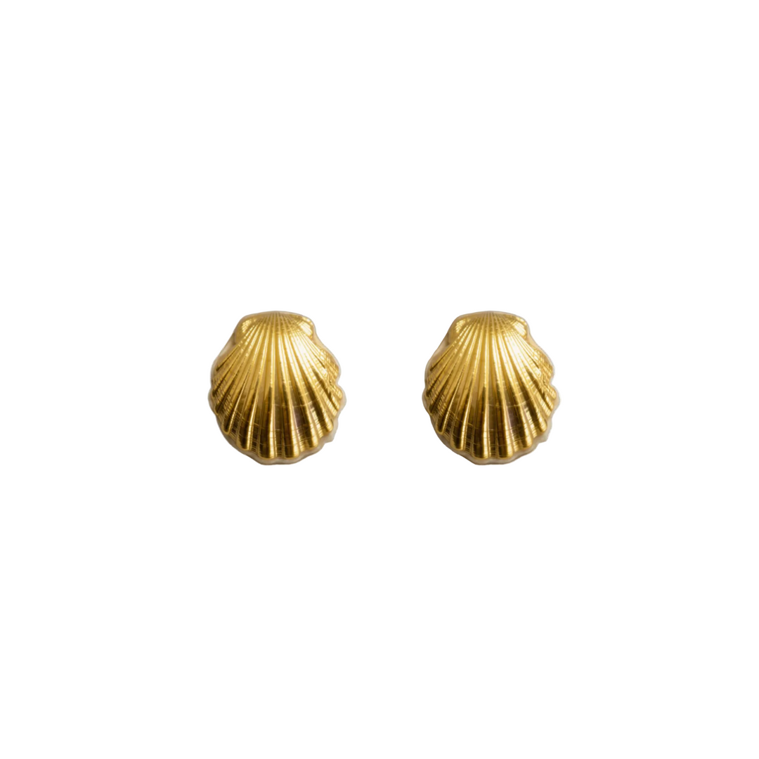 Juniper Sea Shell Earrings