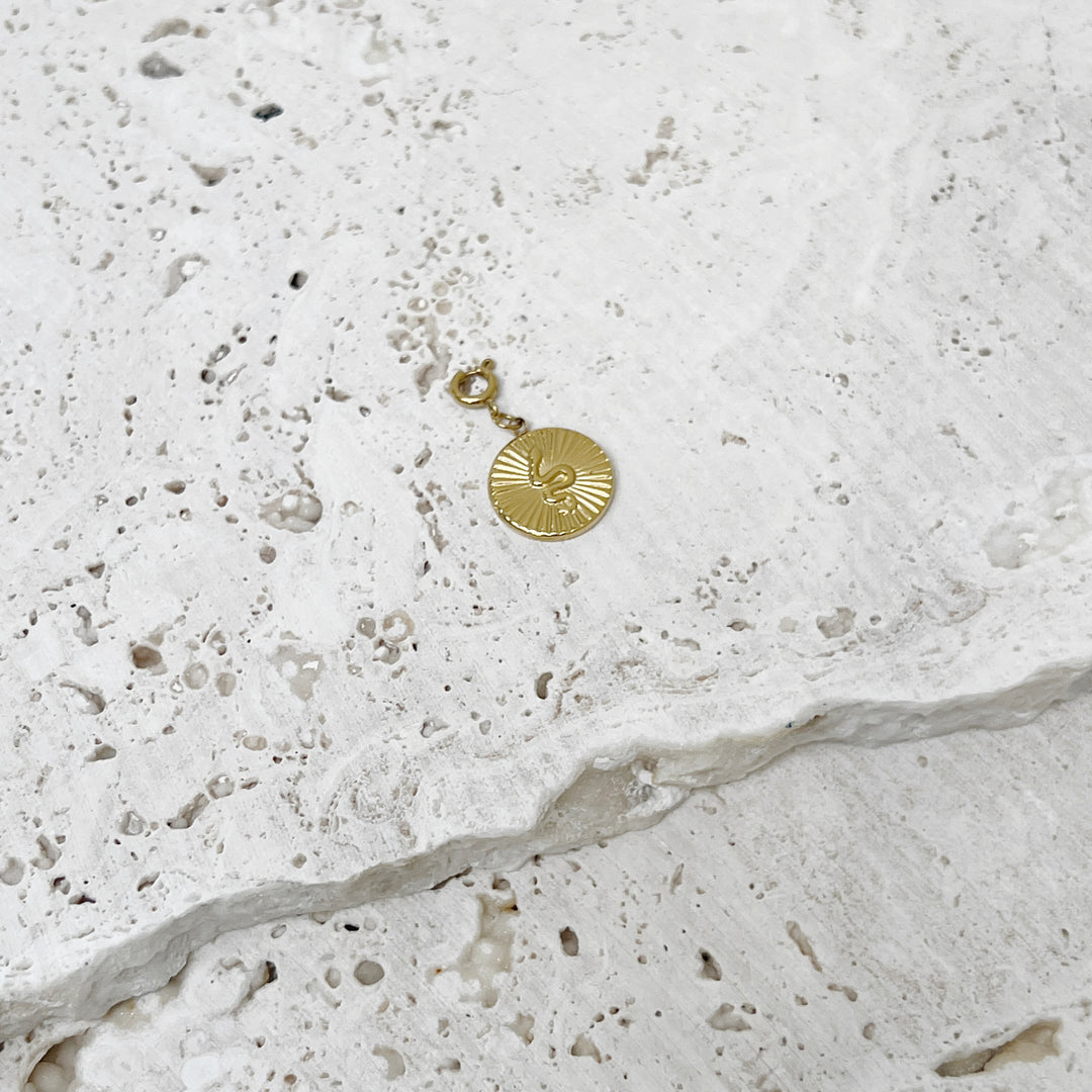 Clairo Charm Necklace