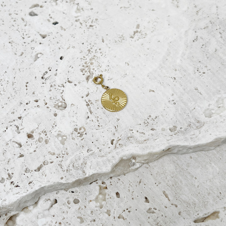 Clairo Charm Necklace