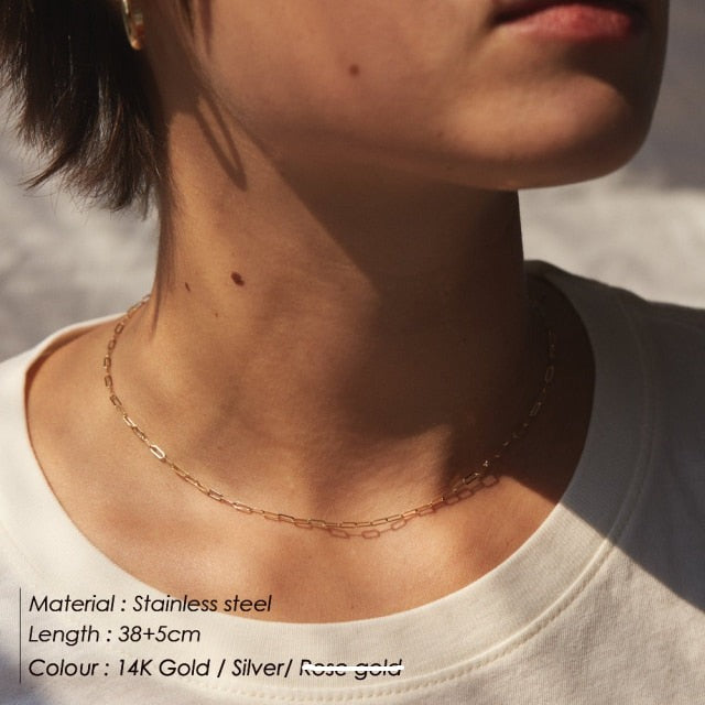 Carista Chain Necklace